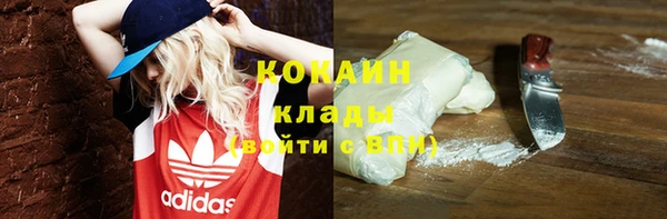 гашик Инта